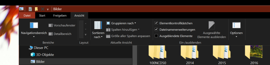 Fehlende Einstellungen im Menü des Explorer