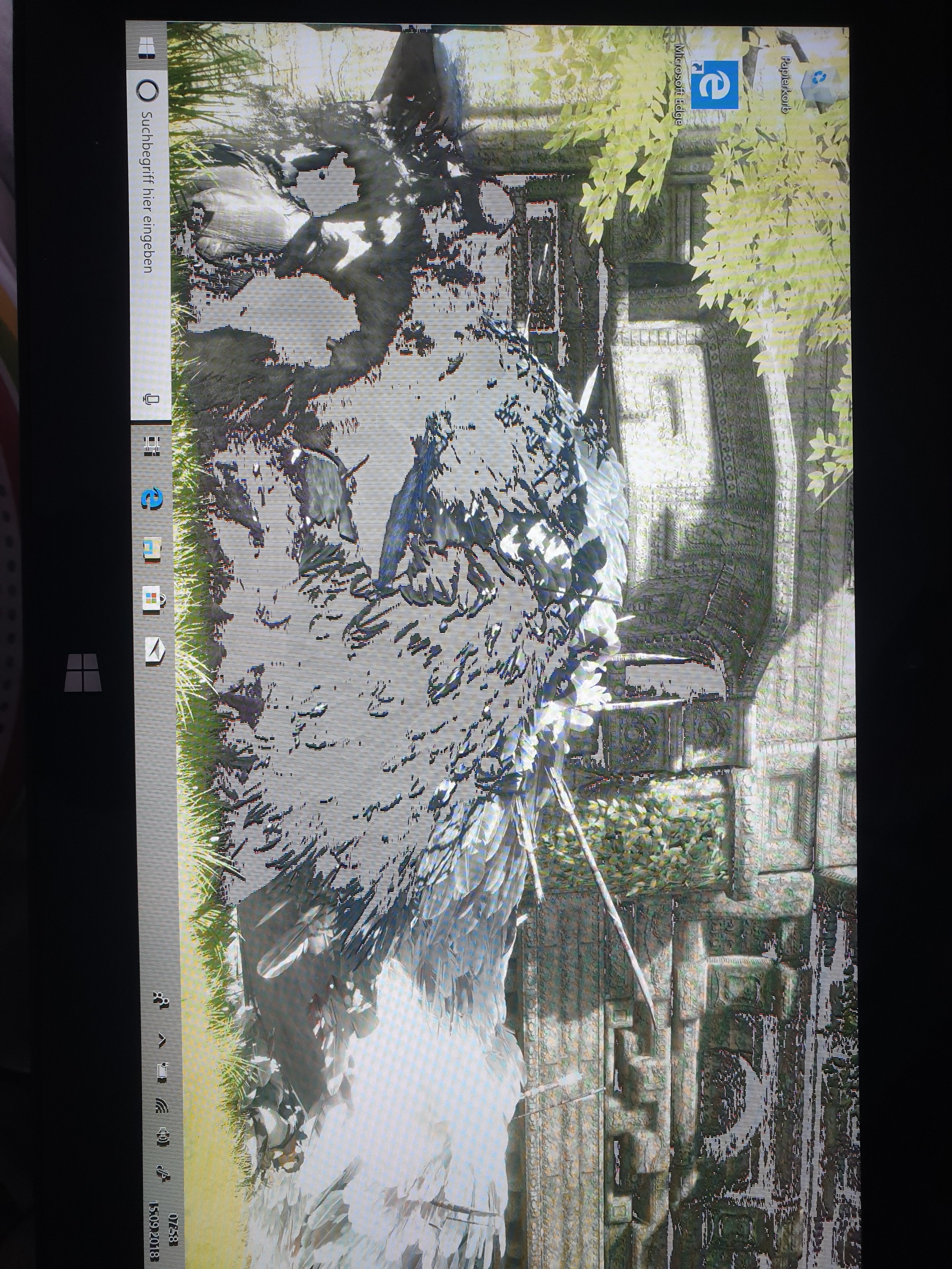 Surface Pro 2 Zeigt schwarze stellen als Grau an / Surface pro 2 shows black areas as grey...