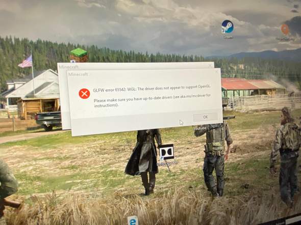 Minecraft startet nicht error 65542?