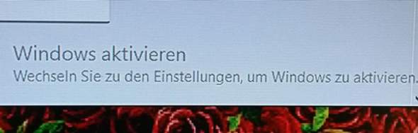 WIN10 pro key falsch?
