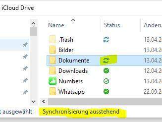 iCloud Drive schließt Ordner aus?