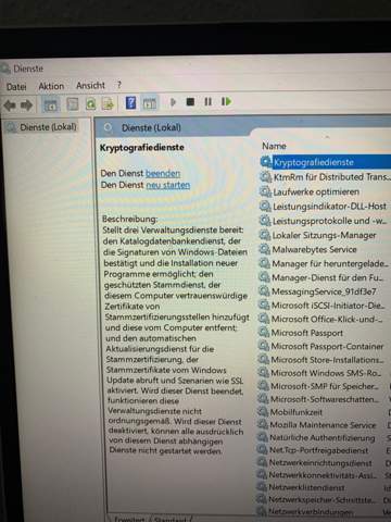 Ist es normal das auf Windows 10 der Kryptographiedienst ausgeführt wird oder ist es ein virus?