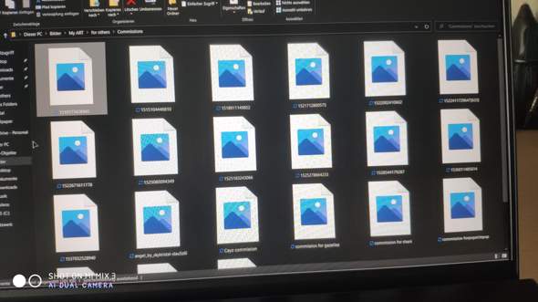 Windows explorer Bilder werden nicht angezeigt?