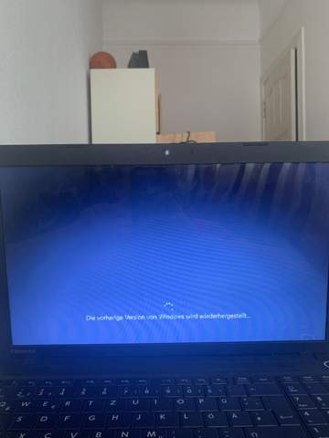 Vorherige Version von Windows wiederherstellen, Endlosschleife?