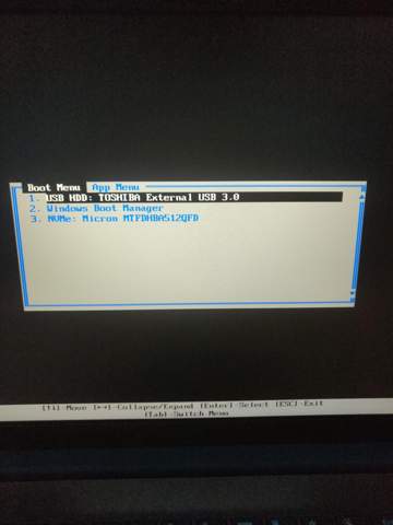 Lenovo Boot Menü keine Funktion trotz Enter?