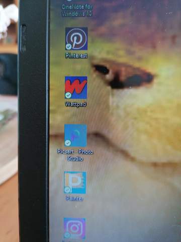 Meine Windows 10 Desktop Symbole haben einen Rand?