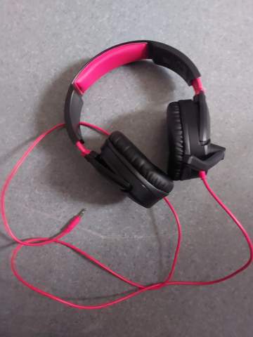 Kann entweder nur Audio oder Mikrofon beim PC?
