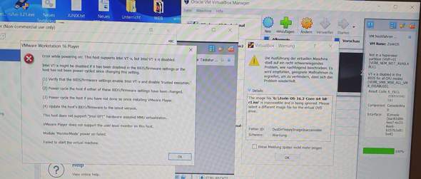 Verschienen Virtuelle Machienen stürzen ab! - VMware und VirtualBox?