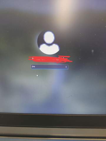 Windows Pin zurücksetzen nach zu oft falscher Eingabe?