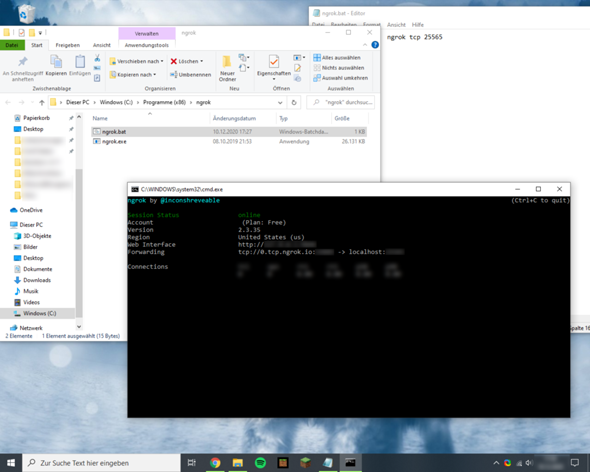 Batch Datei Programmieren ngrok?