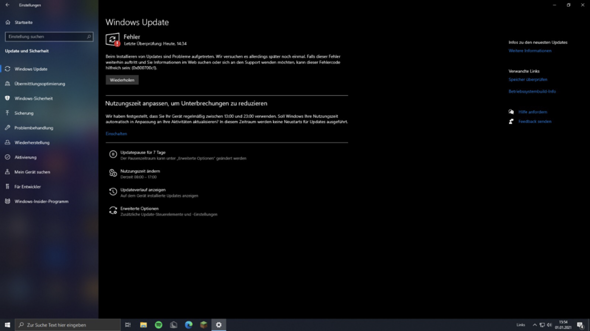 Immer Fehler bei Windows Update?