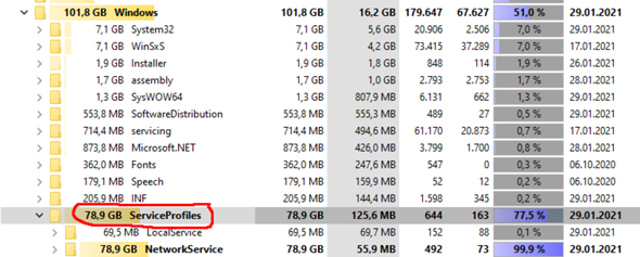 Windows Service Profiles ordner 78,9GB?