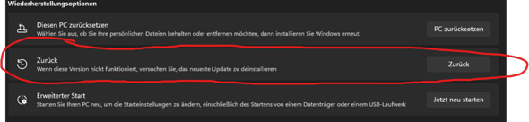 Ist diese Einstellung richtig, um auf windows 10 zurückzukehren?