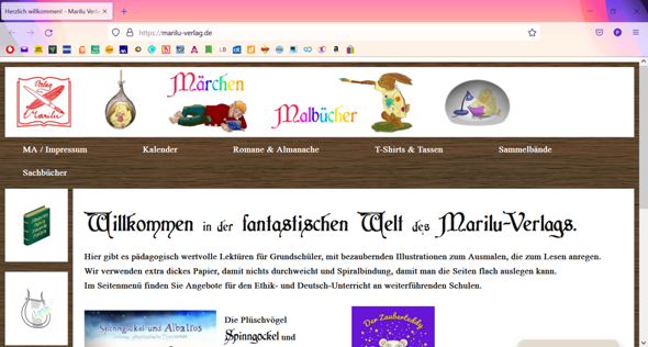 Warum erscheint die Seite bei mir verzerrt?
