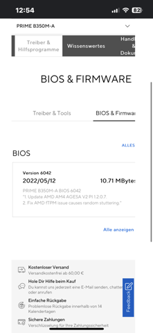 BIOS-Update zurücksetzen?
