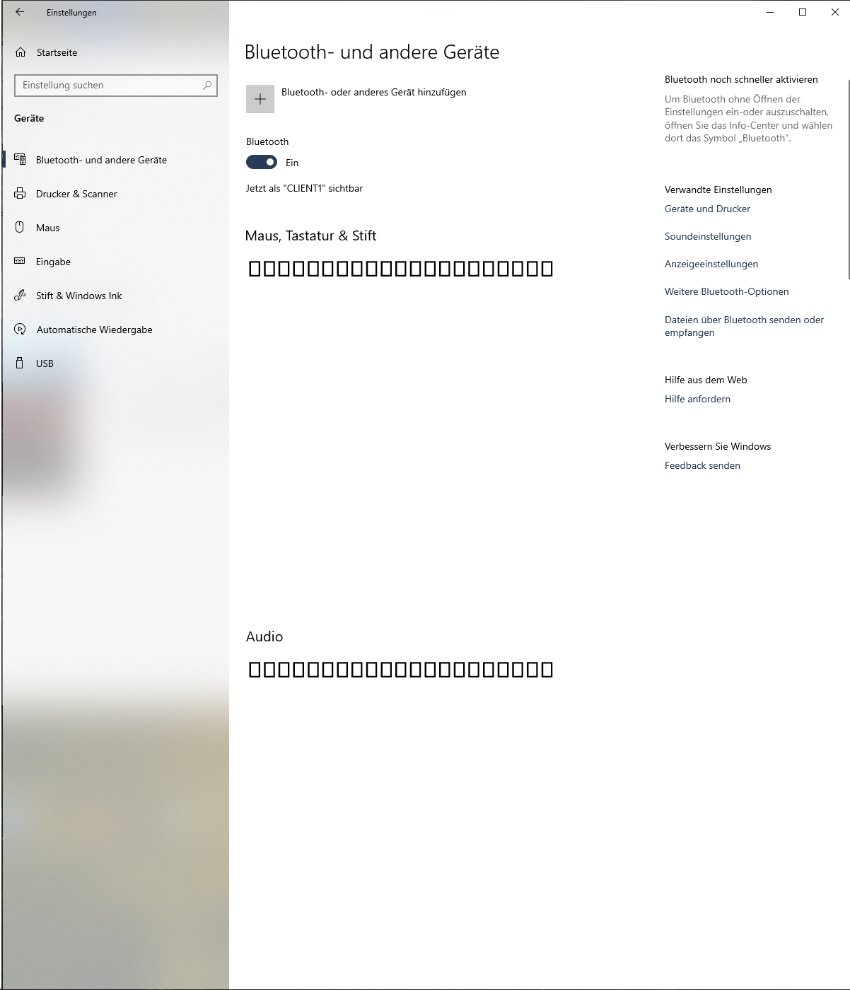 Es werden unter Einstellungen / Bluetooth- und andere Geräte nur noch "Rahmen" angezeigt.