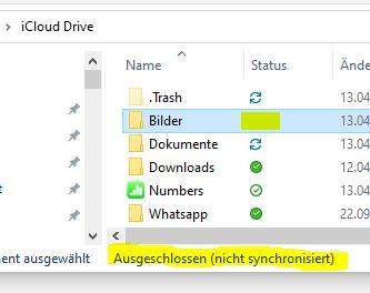 iCloud Drive schließt Ordner aus?