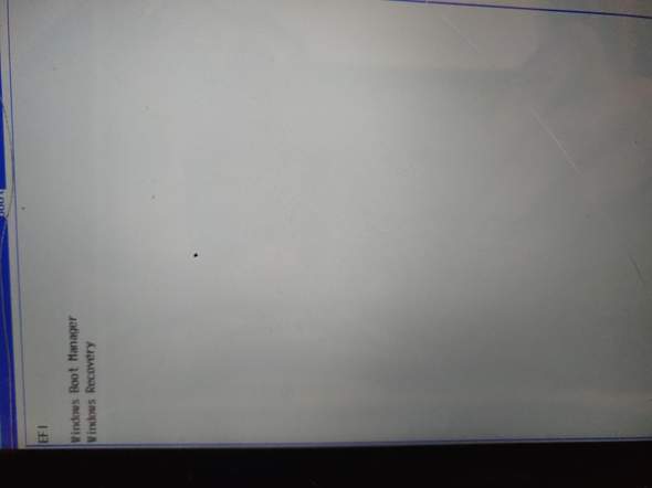 Weder Secure boot noch legacy option im bios?