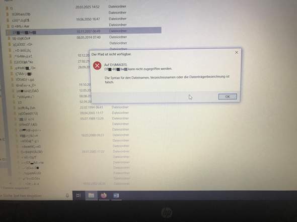 Ich kann „verschlüsselte“ Dateien auf Windows 10 nicht öffnen. Kann mir jmd. helfen?