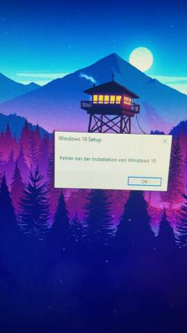 Immer Fehler bei Windows Update?