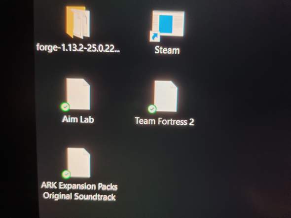 2x Minecraft und keine Icons nach Win 10 downgrade?