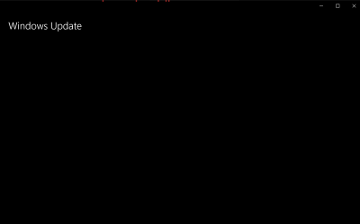 Windows update Fenster lädt nicht?