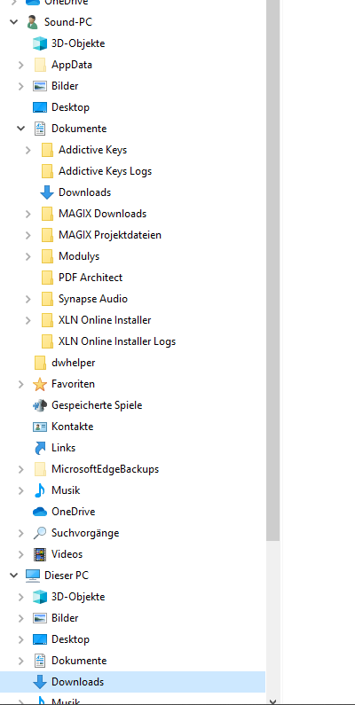 Laufwerksfehler vom Ordner Downloads