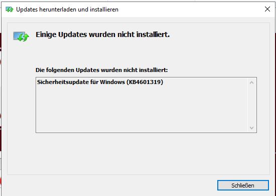 KB4601319 kann nicht installiert werden: Fehler 0x80070002