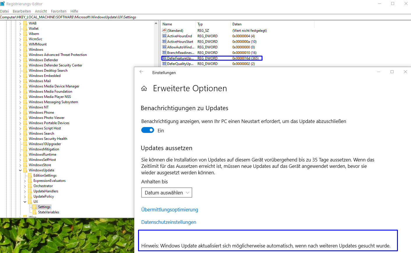 Keine Update mehr bei Pro Versionen 1903 wegen Funktions-Qualitätsupdate in den Registry...