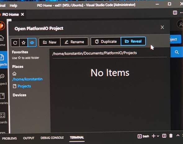 PlatformIO erstellt das Projekt nicht?