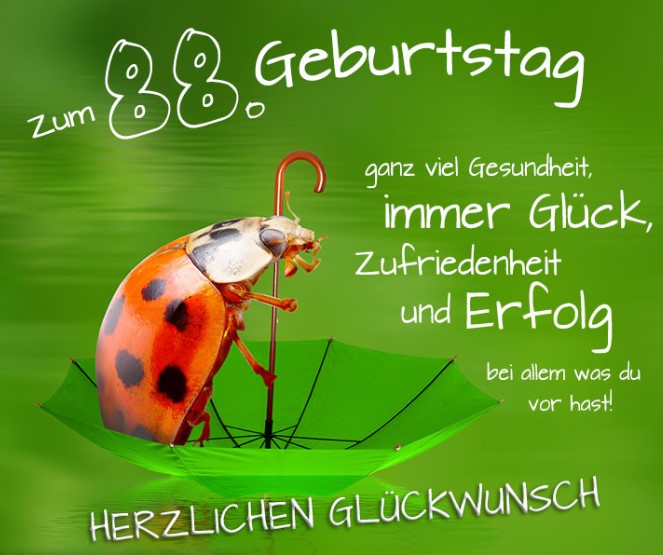 Publisher!! zeigt in Office Insider Grafiken falsch an