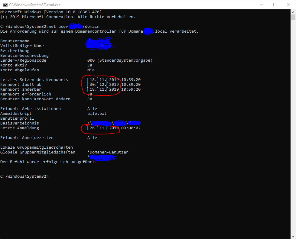 Komisches Datumsformat von Domänennutzer-Konten in Kommandozeile unter Windows 10 190x (net...