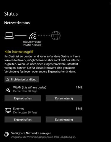 Kein Internetzugriff nach Windows update?