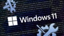 Gelähmte Speicher in Windows 11: Grund gefunden, Lösung möglich