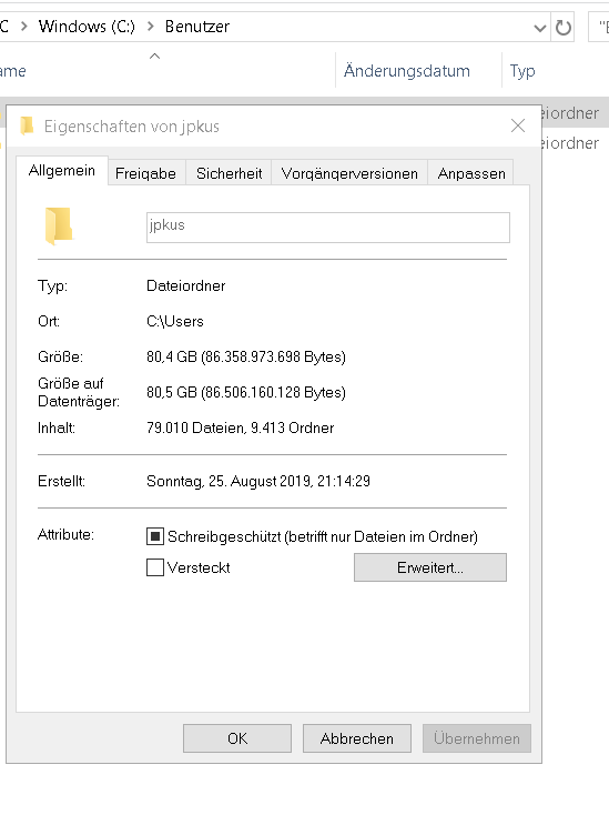 Windows 10, Part. C, 80 GB unauffindbaren Speicherplatzes