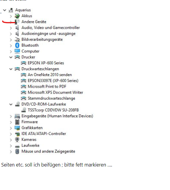 in  C D  eingelegter Datenträger / Epson CD - wird nicht vom CD-Rom Laufwerk gelesen...