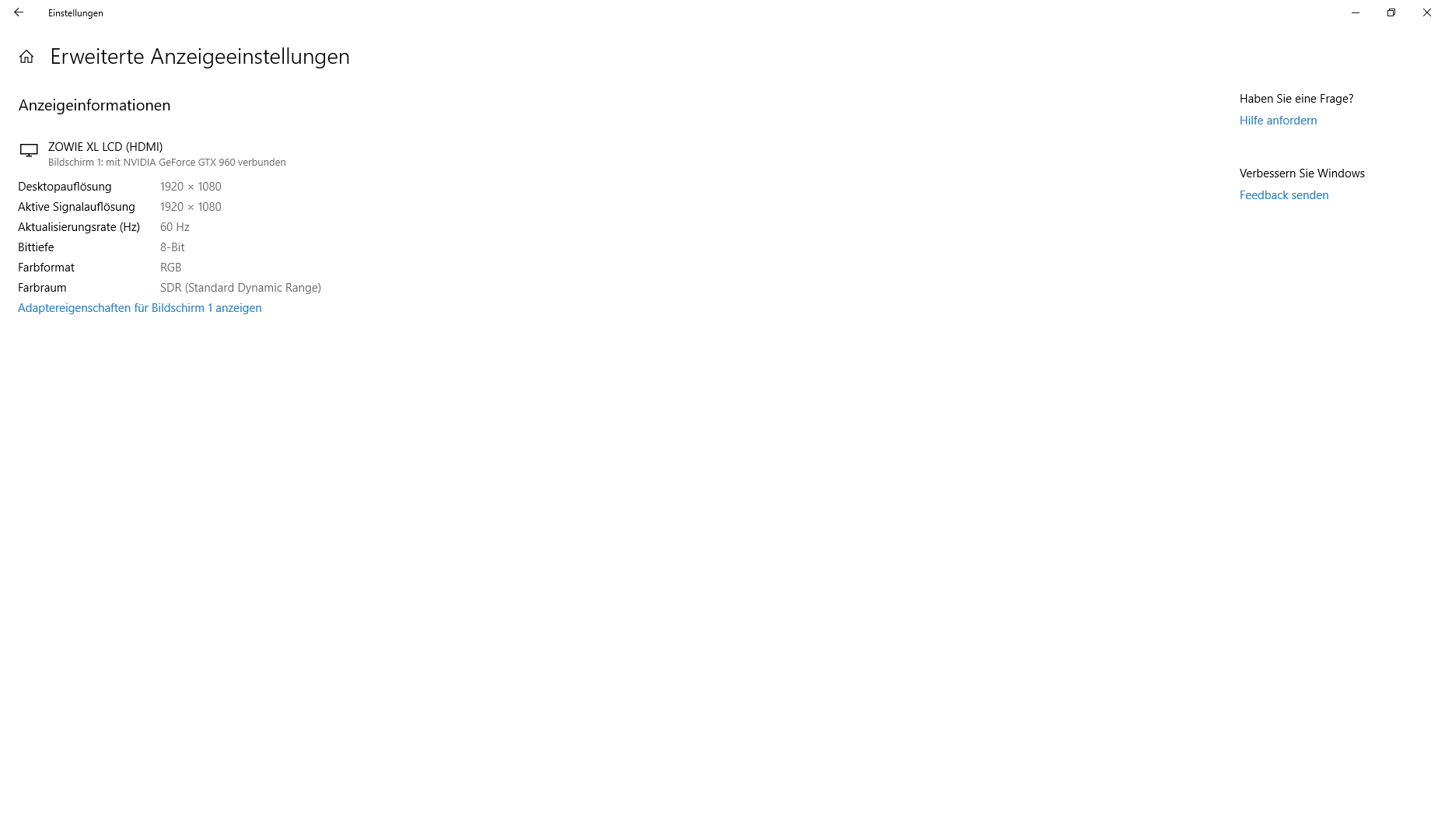 Windows erkennt einen Bildschirm der gar nicht angeschlossen ist.