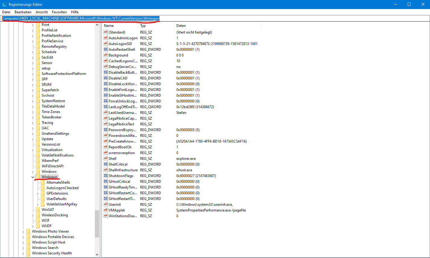 Fehlende Einträge und Möglichkeiten zum Autologin von Windows