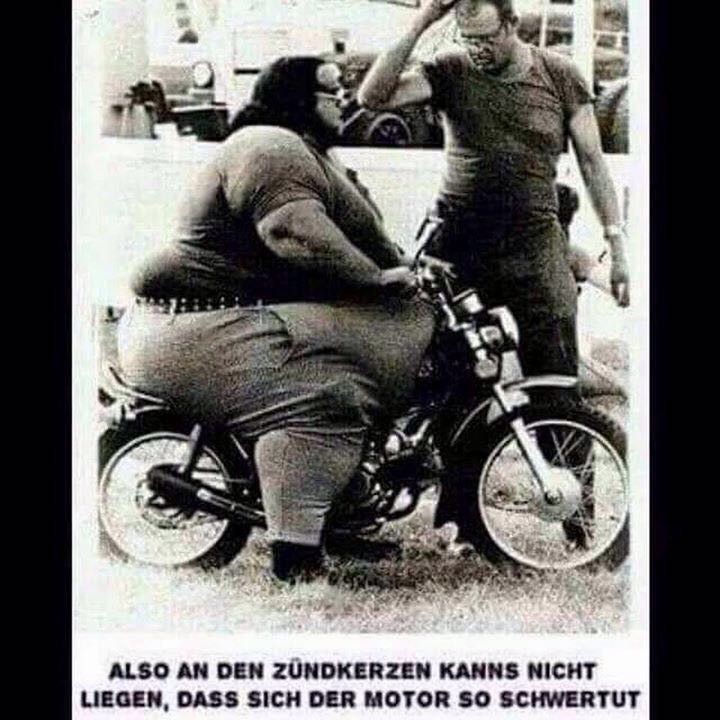 Nettes...