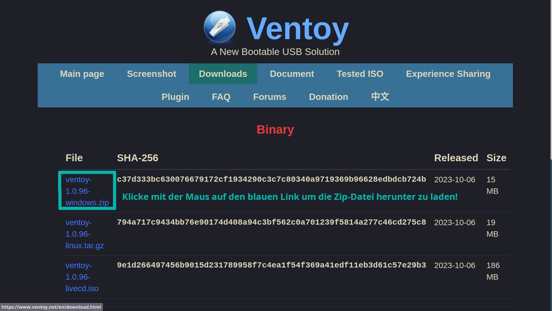 Probleme bei der Installation von Windows 10?