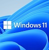 Windows 11 ohne TPM / Secure Boot installieren