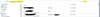 Emails extern sichern