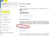 Automatische Updates, Flash Player