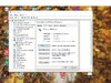 Windows 10 update, falsche Auflösung