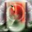 Lesieen